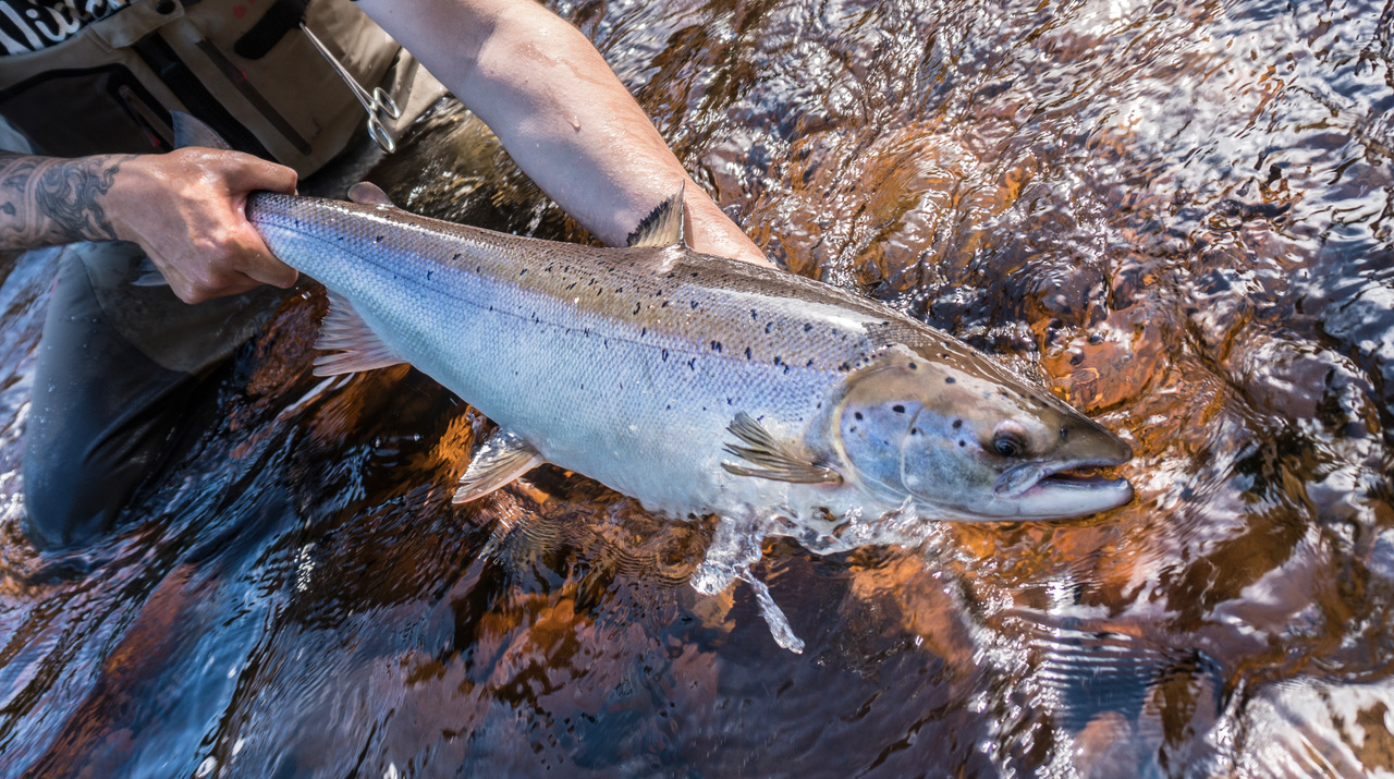 De la pêche réservée aux plus riches dans les pourvoiries du Nord