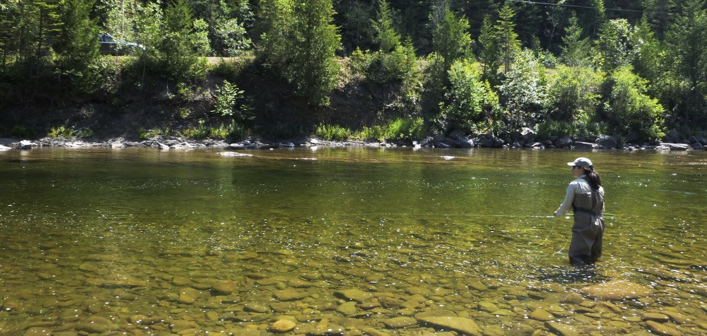 La pêche du saumon atlantique est interdite sur la rivière Jupitagon