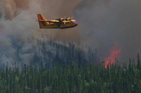 Levée totale de l'interdiction de faire des feux à ciel ouvert en forêt