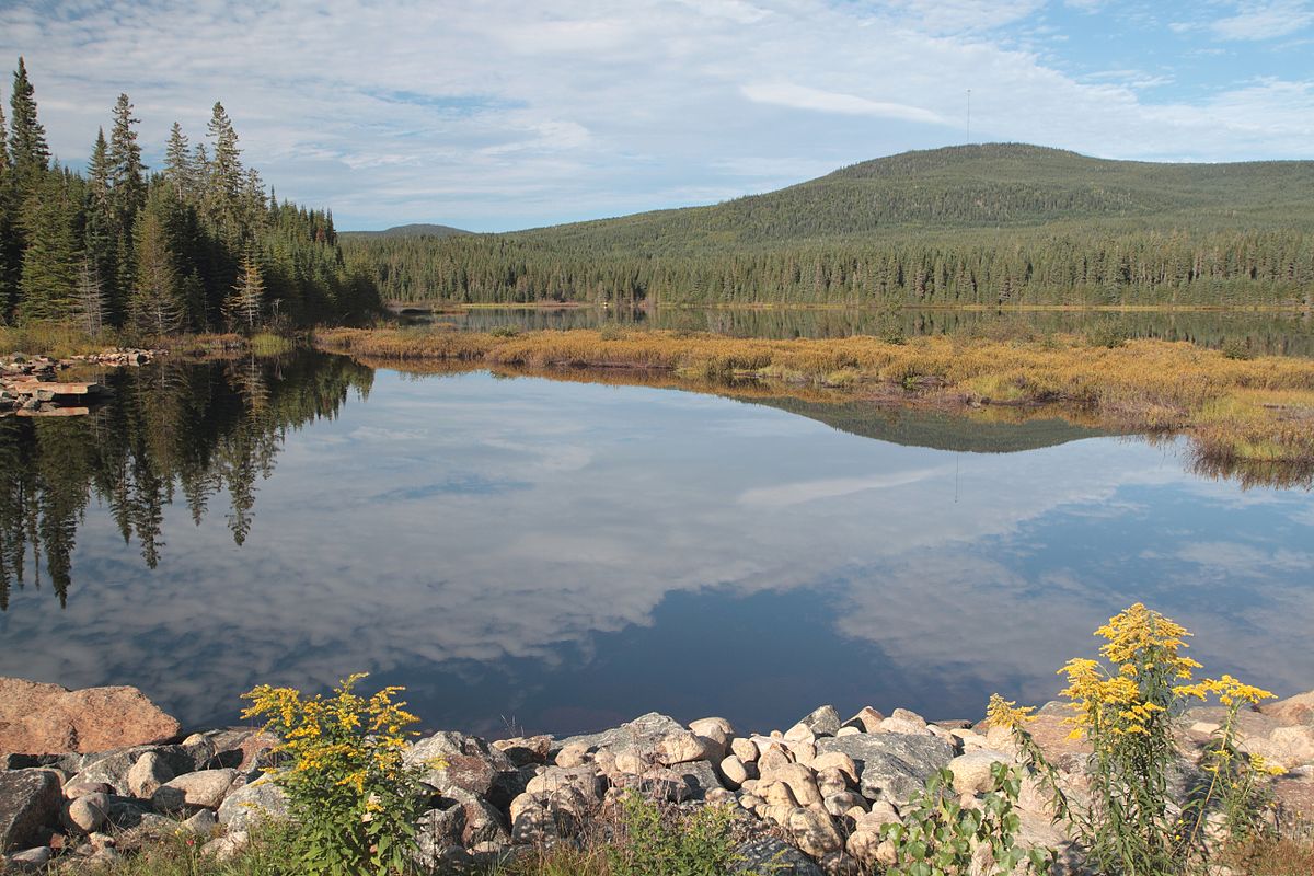 Les zecs doivent-elles payer des compensations pour la perte d’un habitat?