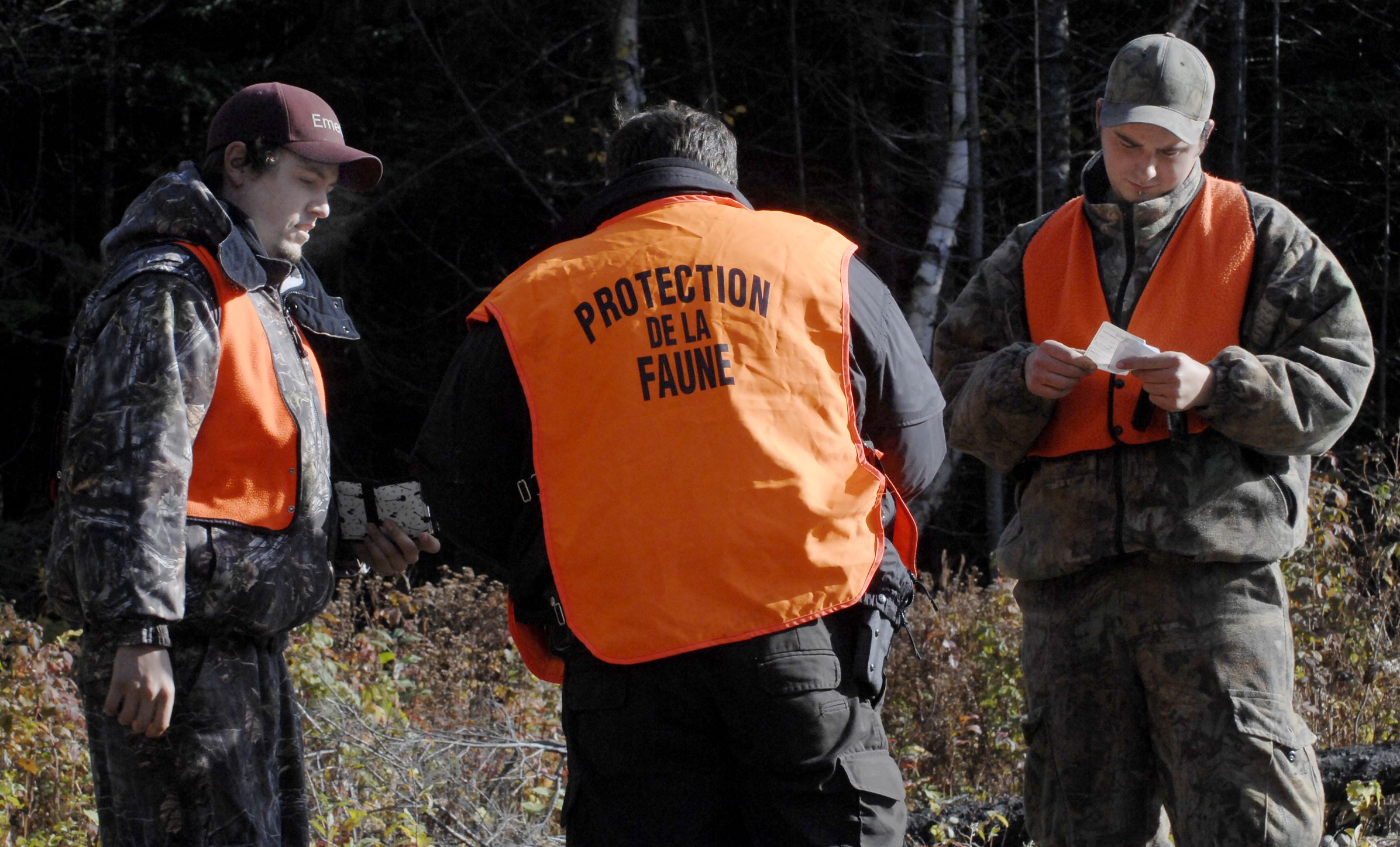 Adoptez le Code de bonnes pratiques pour la chasse à l'orignal dans les zecs