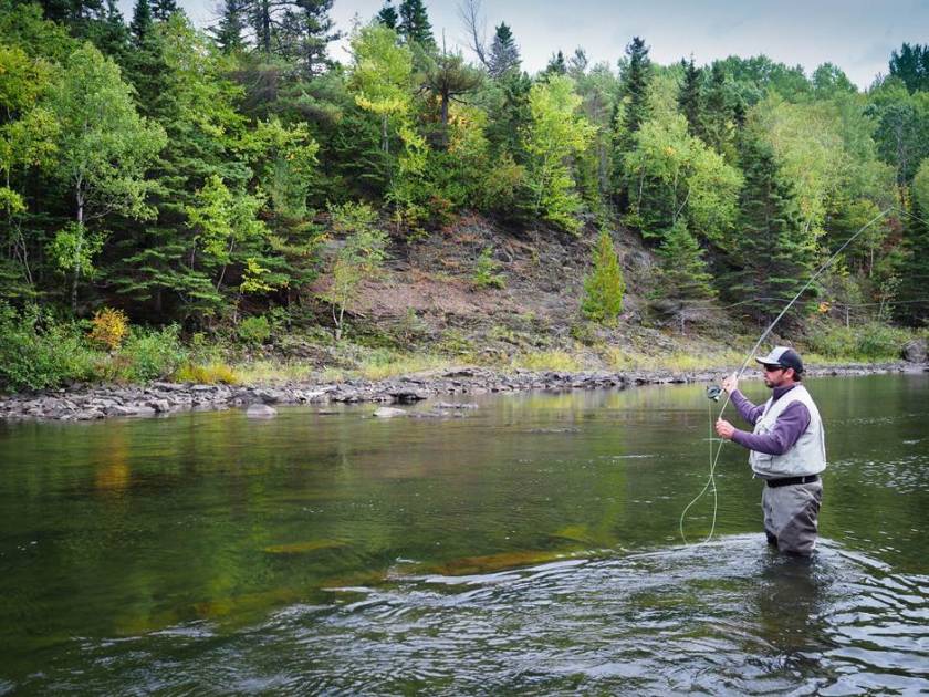 À la découverte des saveurs du terroir des régions salmonicoles