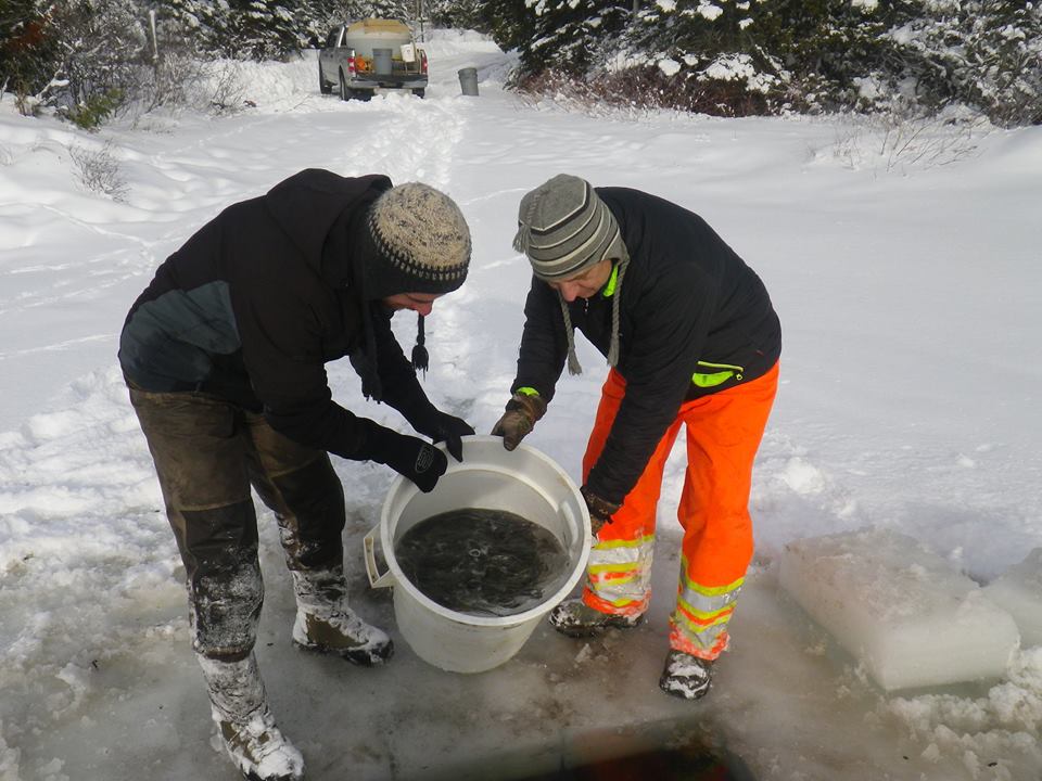 La Zec Bas-Saint-Laurent lance sa saison de pêche blanche 