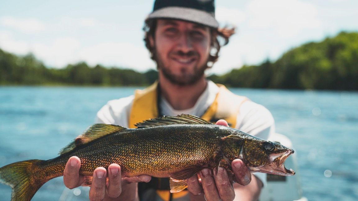 Le Festival BESIDE, pour célébrer la nature et la culture au grand air 