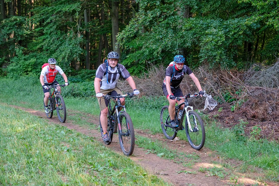 De nouvelles pistes de vélo de montagne pour la zec des Martres