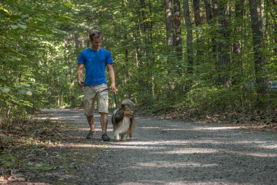 Les chiens sont maintenant admis dans tous les parcs nationaux du Québec