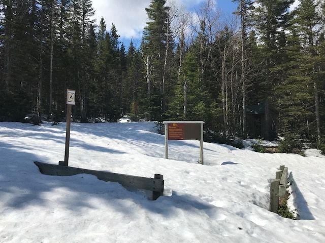 Encore de la neige dans le parc de la Gaspésie ! 