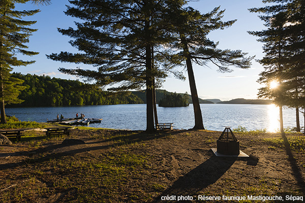  Une expérience de nature unique au camping Saint-Bernard