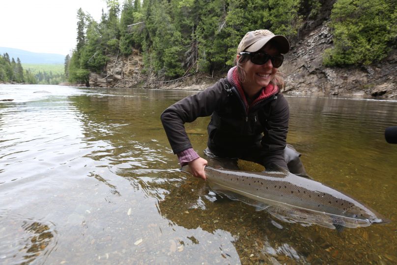 Les pêcheurs pourront conserver les grands saumons dès le 1er août 