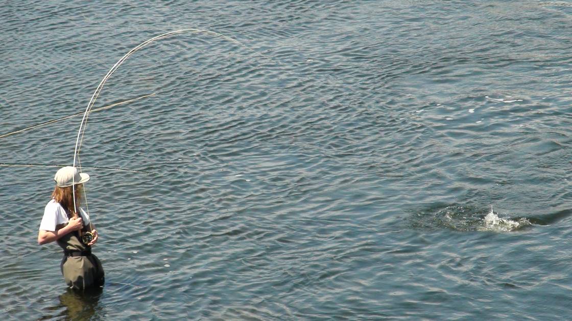 Des règles essentielles à respecter lors de la pêche du bar rayé 