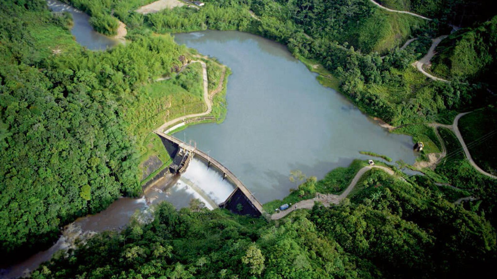 Poissons morts en Outaouais: centrale hydroélectrique privée de Buckingham visée