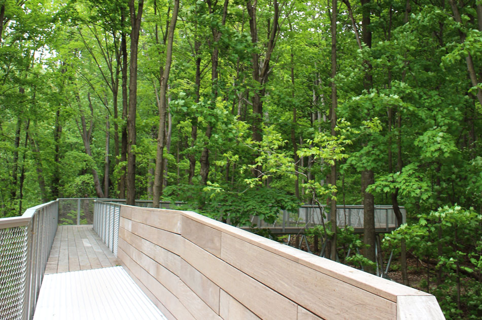 Cinq nouveaux balados du projet « Le Tour dans les parcs-nature de Montréal » 