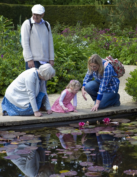 Les « Vendredis grands-parents » : pour une sortie familiale réussie