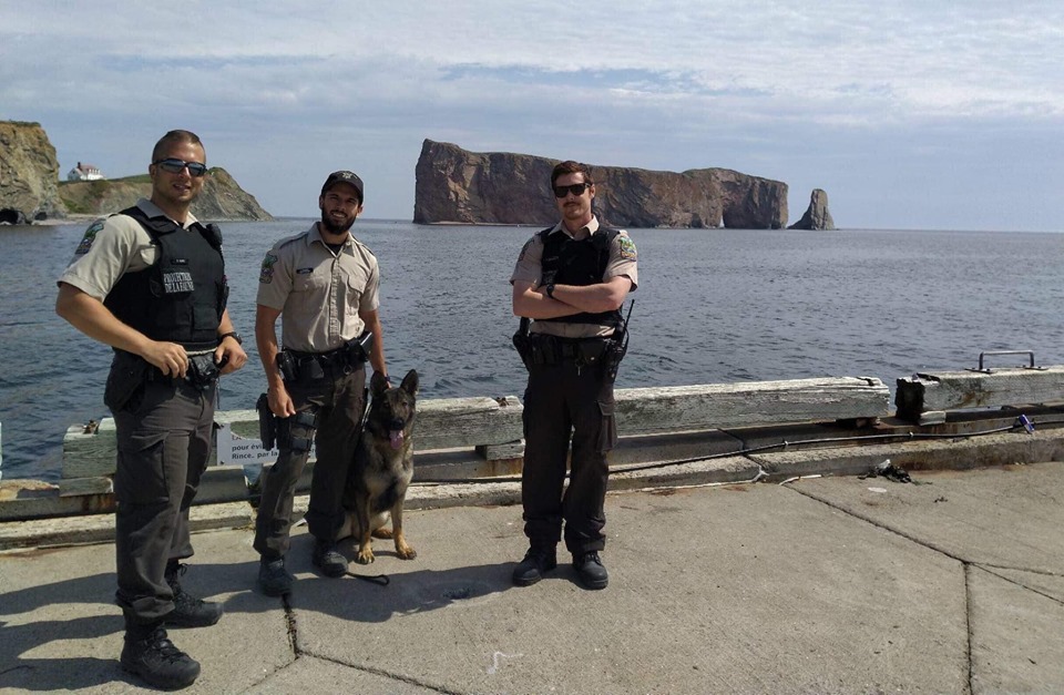 Des individus interpellés en lien avec la pêche au bar rayé en Gaspésie