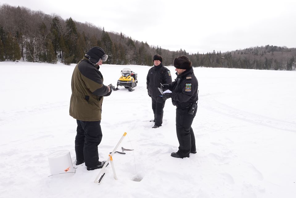 Un touladi ou une truite grise ? Le poisson doit être remis à l’eau