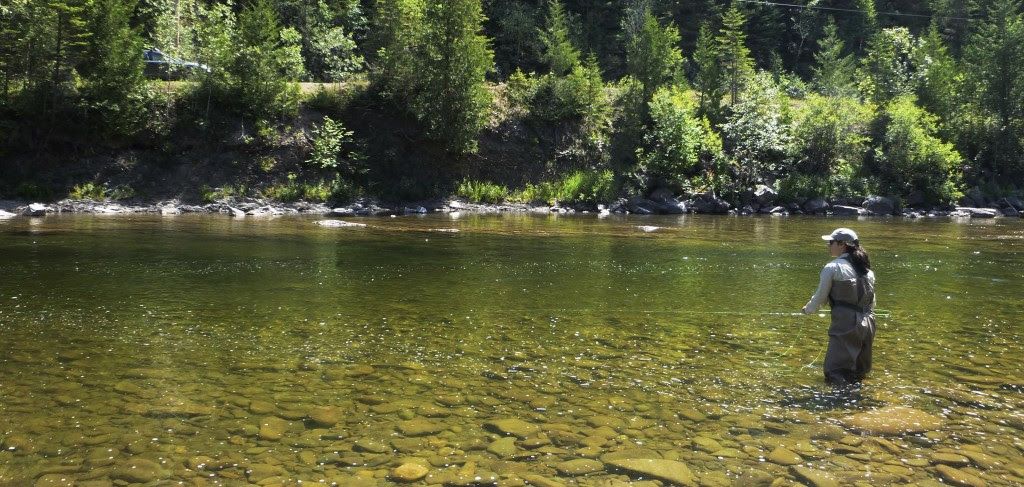 Possible de conserver un grand saumon dans certaines rivières du Québec 