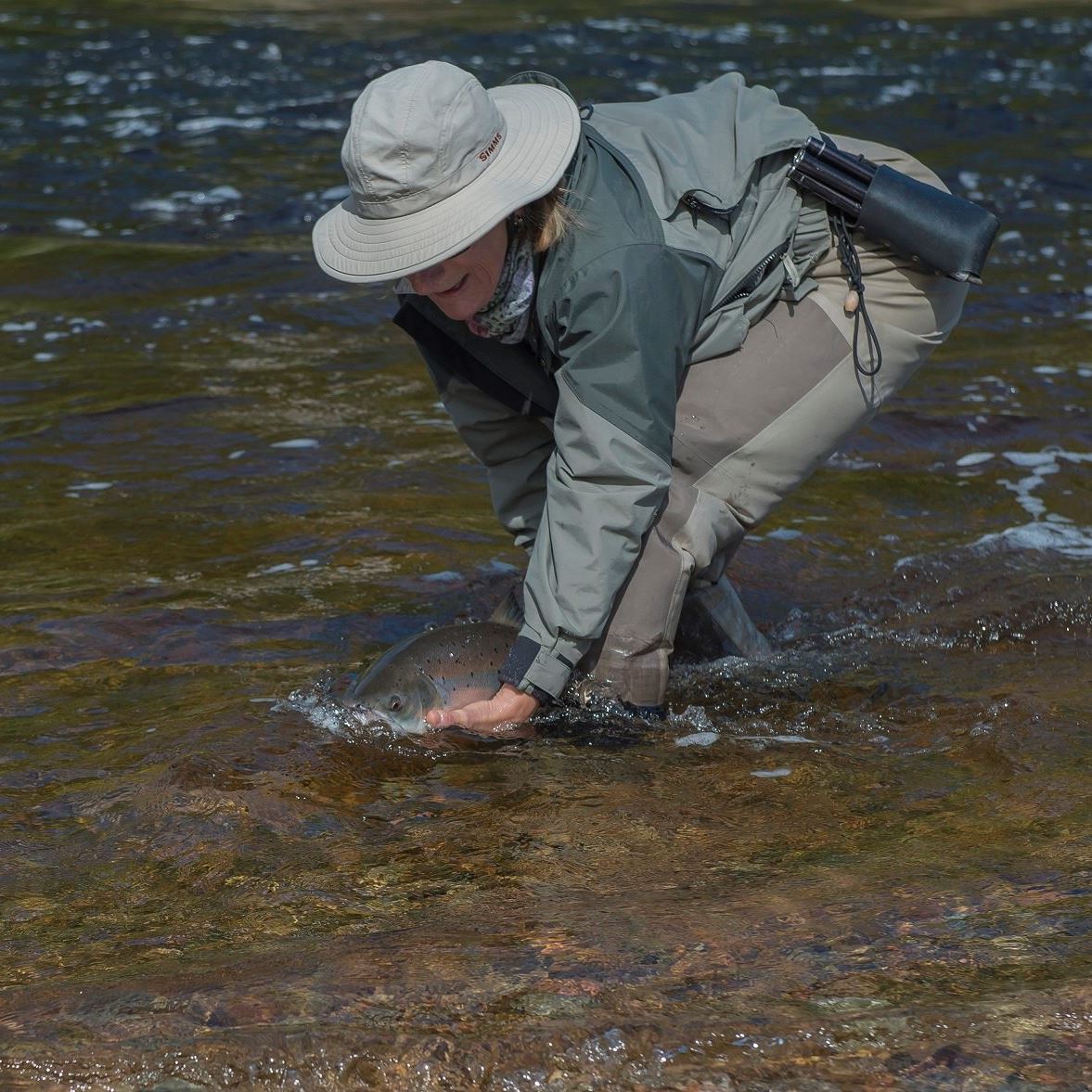 Le Plan de développement de la pêche au saumon se poursuit au Québec