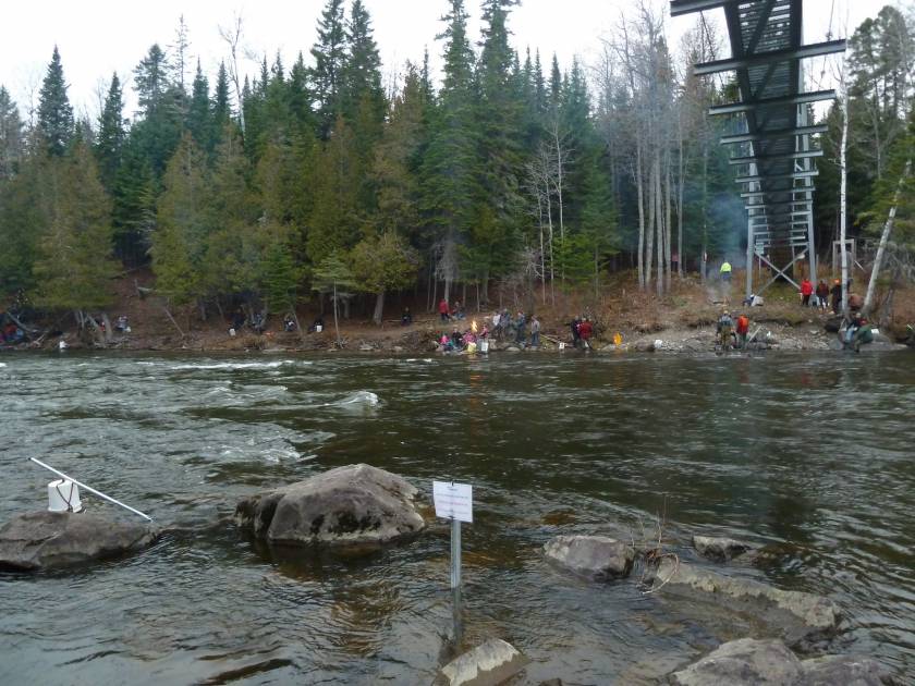 La pêche du « pointu » maintenant à dates fixes dans la rivière Touradi