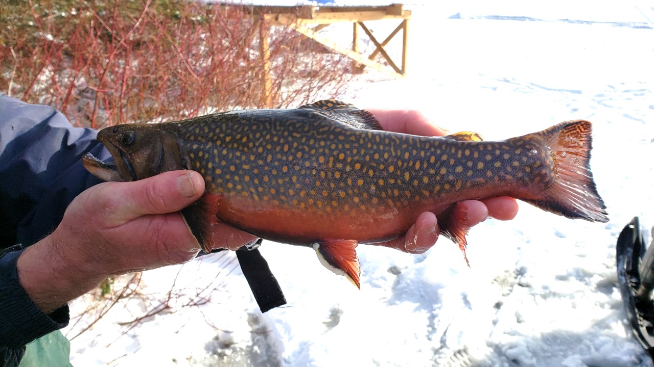 La ZEC-BSL lance la pêche blanche au Lac Chic-Chocs