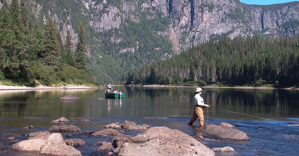 Une première semaine sur le web consacrée à la pêche à la mouche