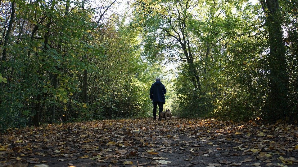 Prescrire le plein air pour améliorer sa santé 