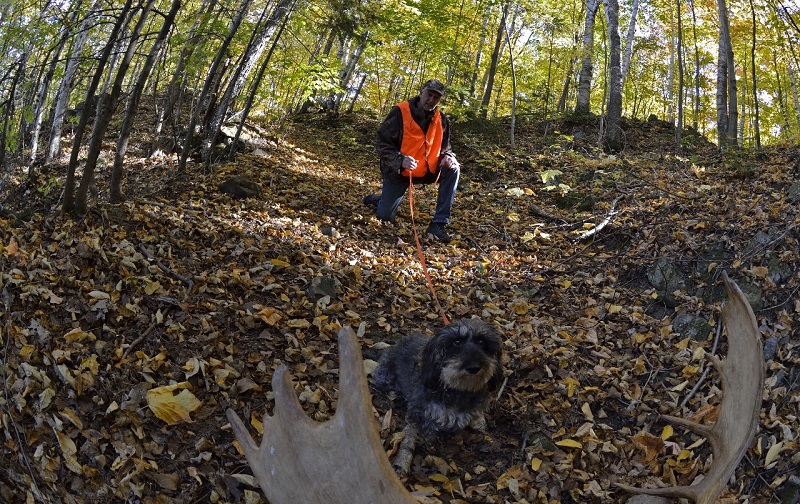 Un partenariat signé entre Zecs Québec et les conducteurs de chiens de sang 