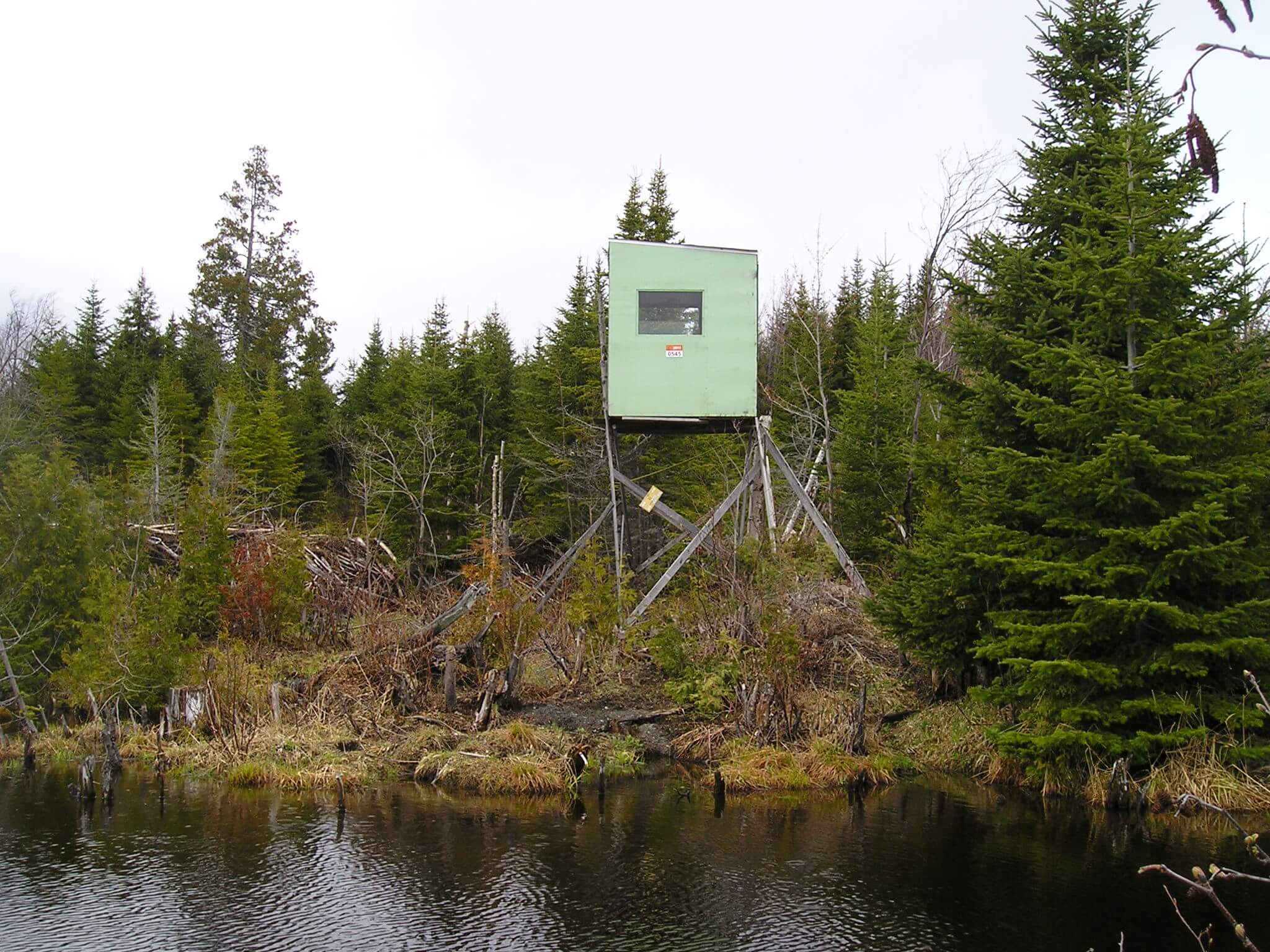 Un employé de zec peut-il aller en forêt pour localiser les caches ?