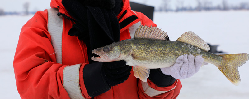 Une carte interactive pour planifier votre pêche blanche cet hiver 