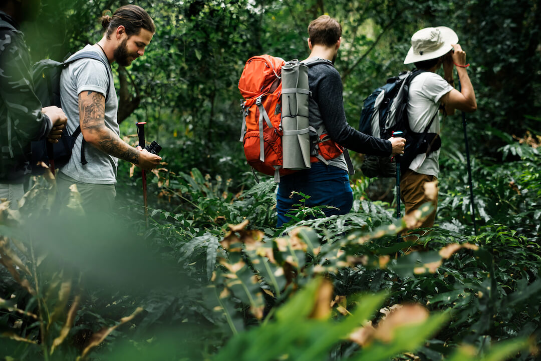 Les activités à faire en camping sauvage au Québec