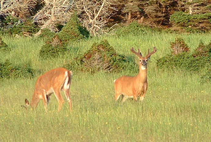 Rendez-Vous Nature- Émission des 10-11 septembre 2022