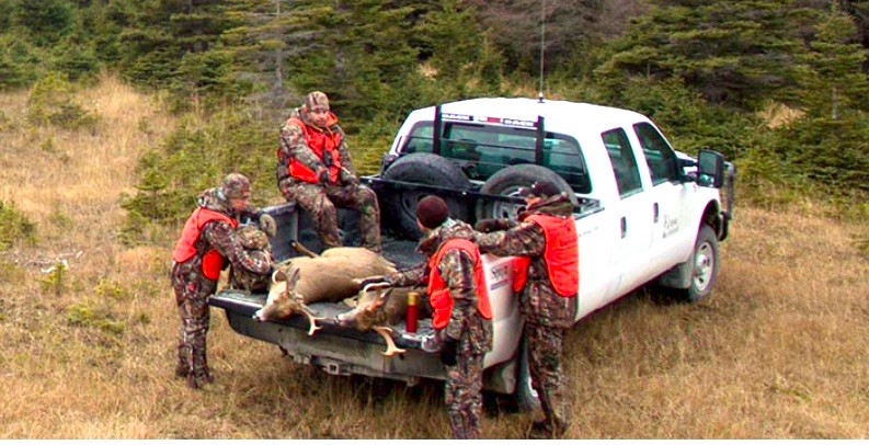 « La Grande Expérience de la chasse » et une autre saison perdue 