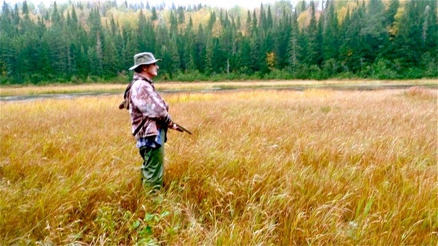 Des chasseurs d’orignaux formés pour devenir plus responsables