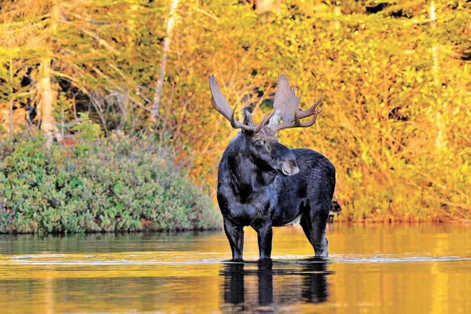 Rendez-Vous Nature- Émission des 8-9 octobre 2022