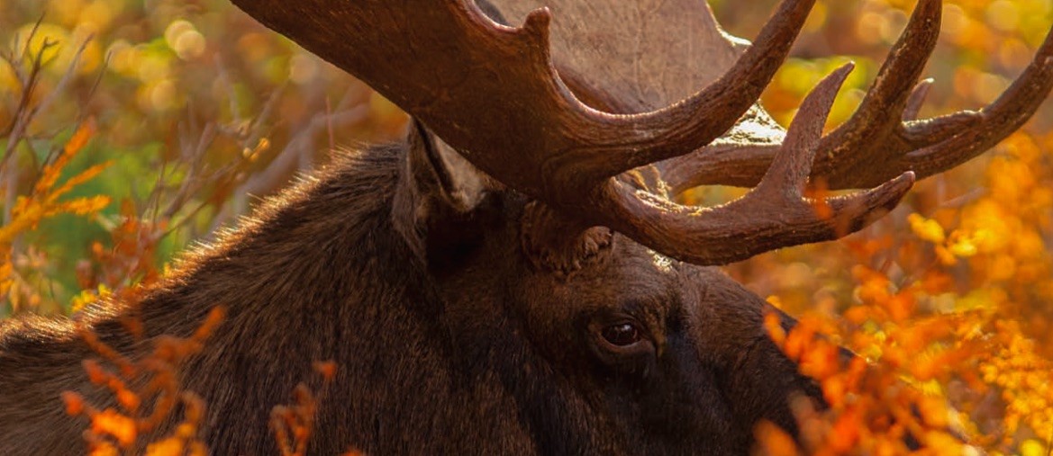 Rendez-Vous Nature- Émission des 4-5 février 2023