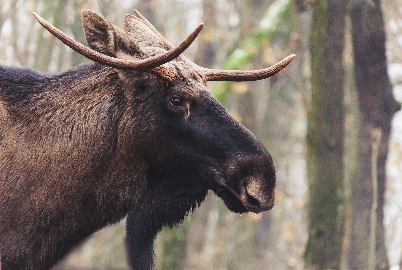 Rendez-Vous Nature- Émission des 18-19 février 2023