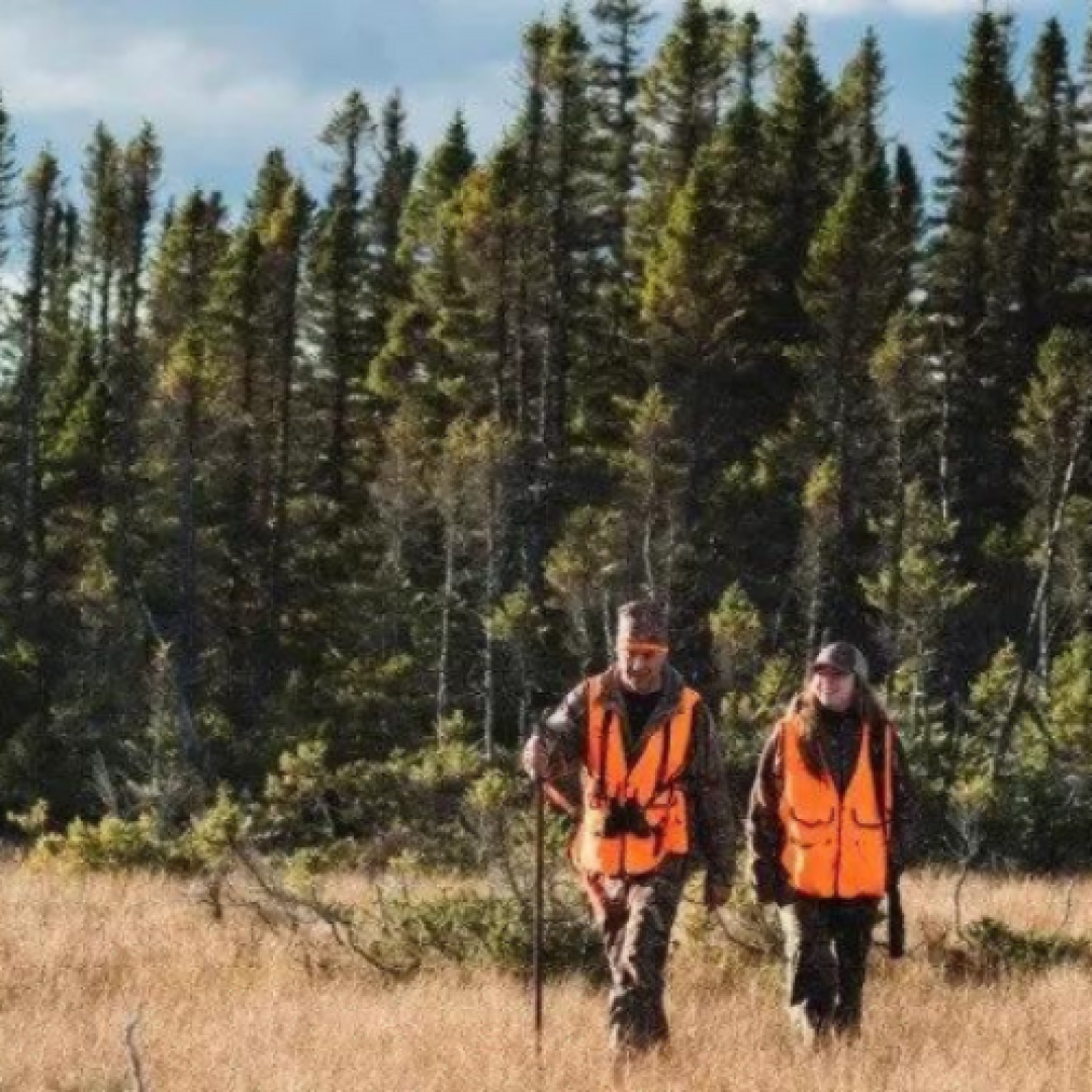 L’ajustement de votre arme est essentiel pour réussir