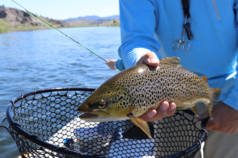 Les ventes de permis de pêche continuent de chuter au Québec